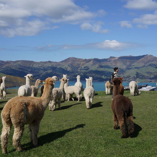 小程序,企業(yè)移動(dòng)辦公,OA,網(wǎng)站建設(shè),連云港網(wǎng)站,連云港網(wǎng)站開(kāi)發(fā)，系統(tǒng)開(kāi)發(fā)，微信開(kāi)發(fā)，微信公眾號(hào)，微信企業(yè)號(hào)，微信訂閱號(hào)，微信服務(wù)號(hào)開(kāi)發(fā),微教育